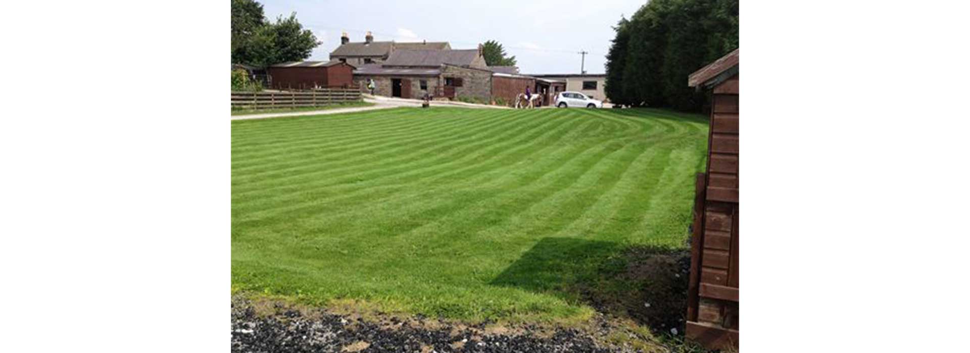 our yard image