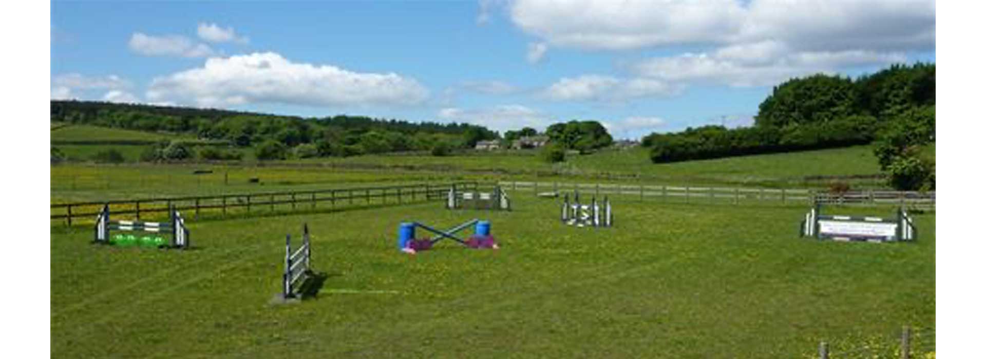 our yard image