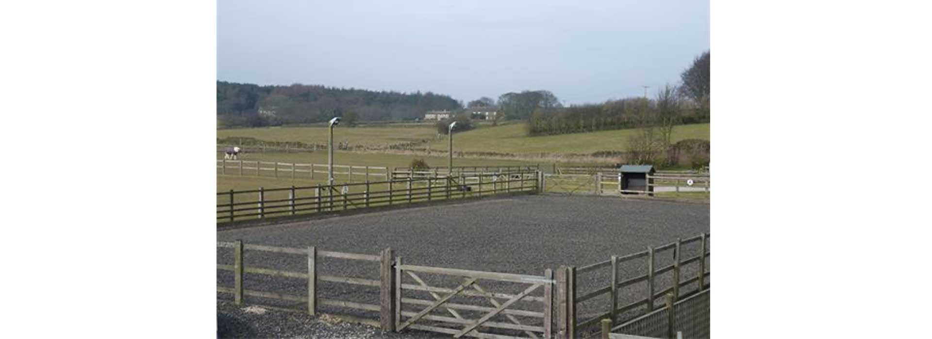 our yard image
