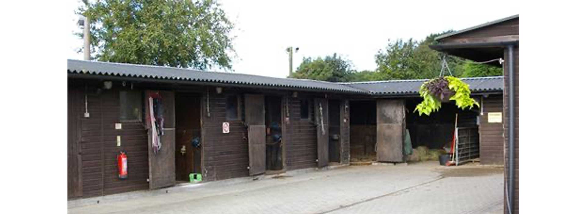 our yard image